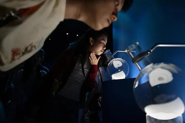 Into the ocean exhibition at ArtScience Museum Singapore 2026