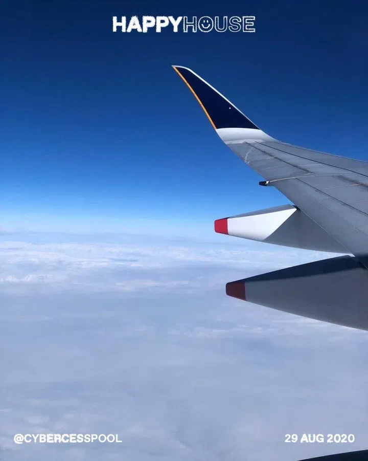 singapore art week happy house