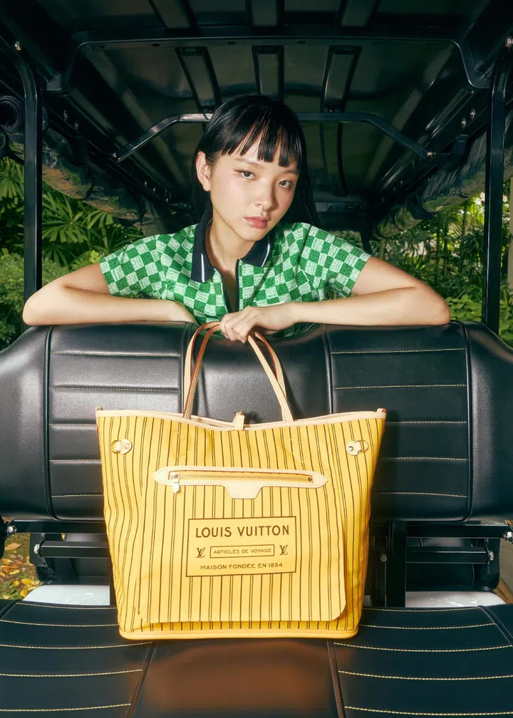 Louis Vuitton Neverfull Bandouliere Inside Out MM