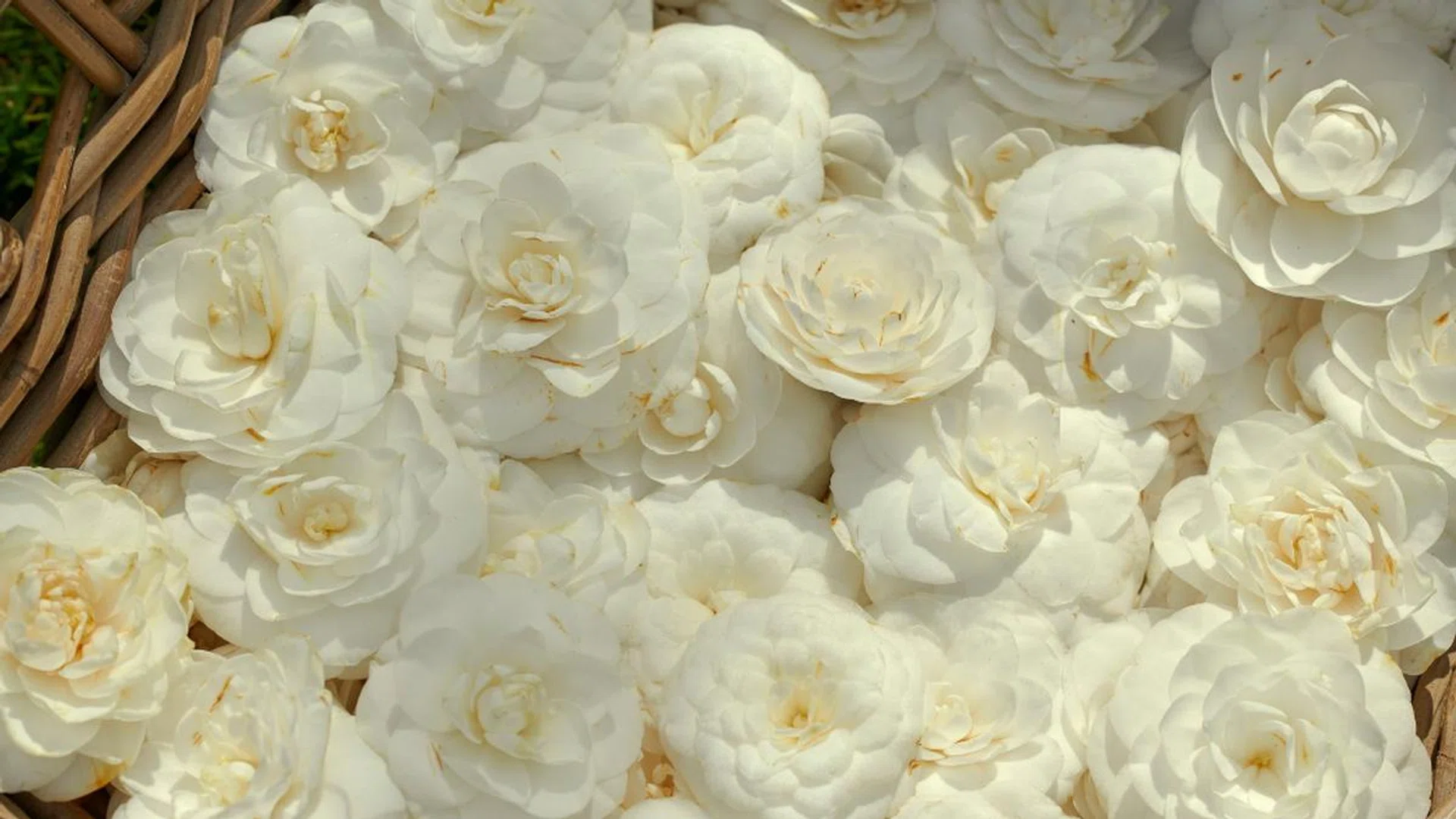sustainable beauty practices