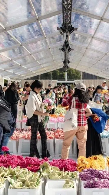 Cj hendry flower market singapore