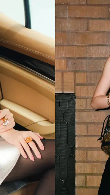 louis vuitton monogram