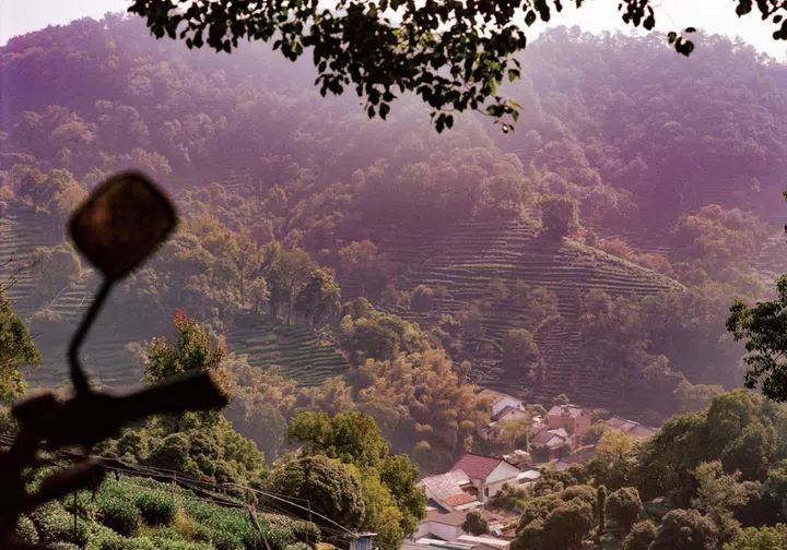 chanel metiers d'art hangzhou