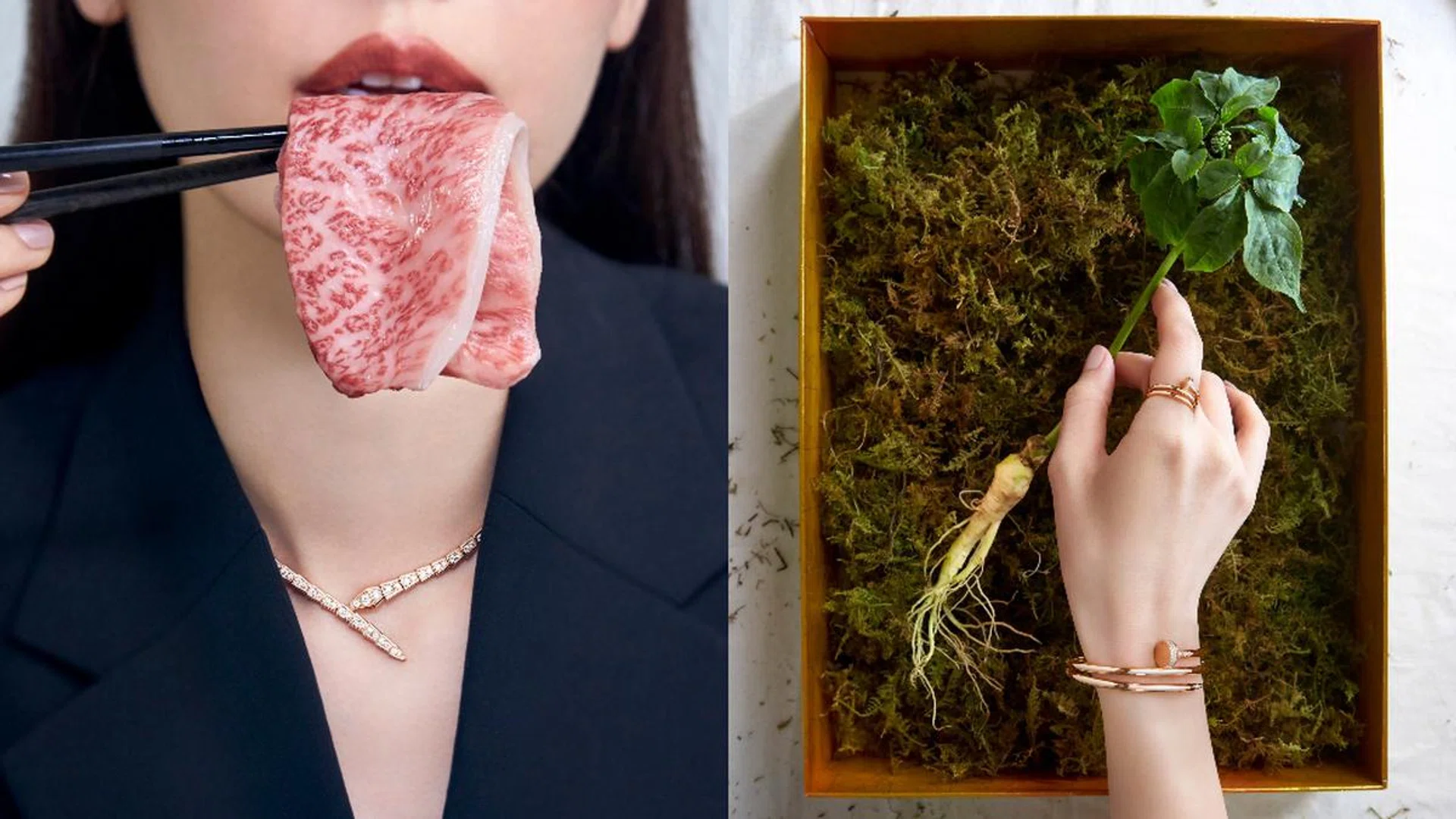 Dig in. Credit: Phyllicia Wang