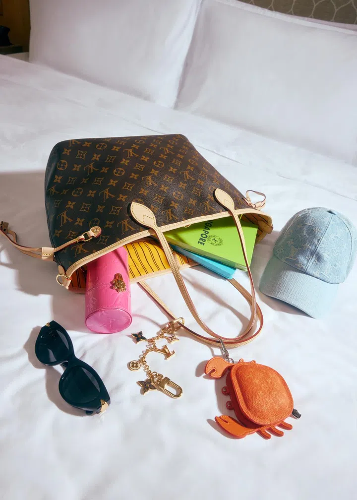 Louis Vuitton Neverfull Bandouliere Inside Out MM