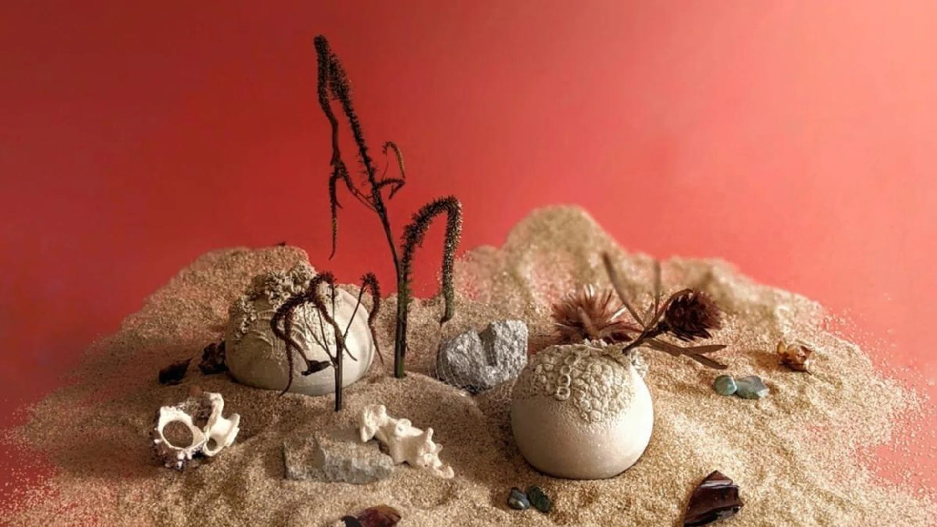 Field Pottery's works meld the world of ceramics with a love for the natural world. Credit: Field Pottery and Still Life Floral