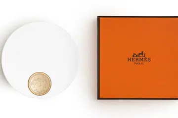 powder blusher hermes
