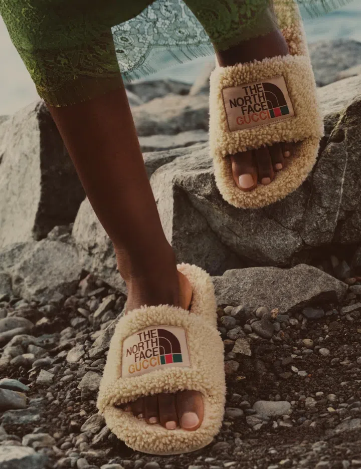 gucci the north face