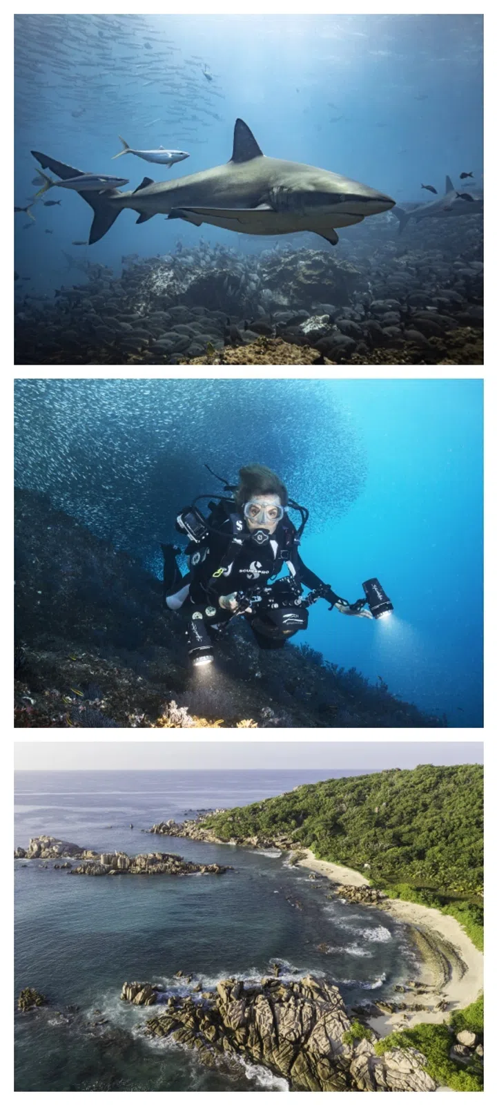 Sylvia Earle oceanographer diver career