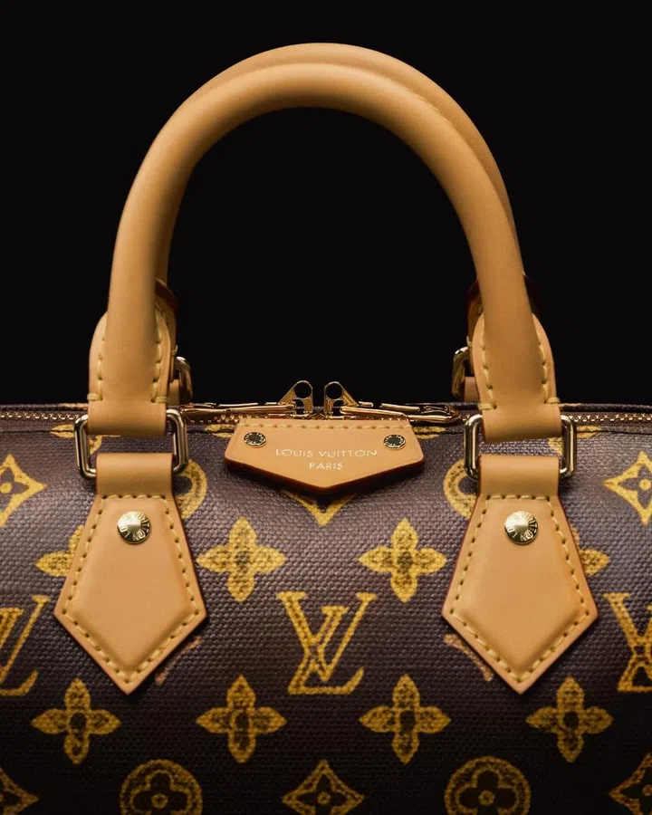 Louis Vuitton monogram speedy bag