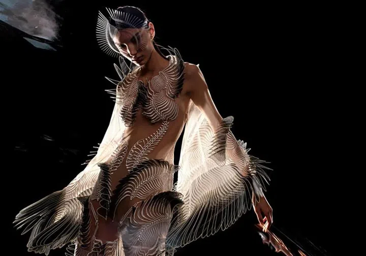 Labyrinthine Kimono dress from Iris van Herpen