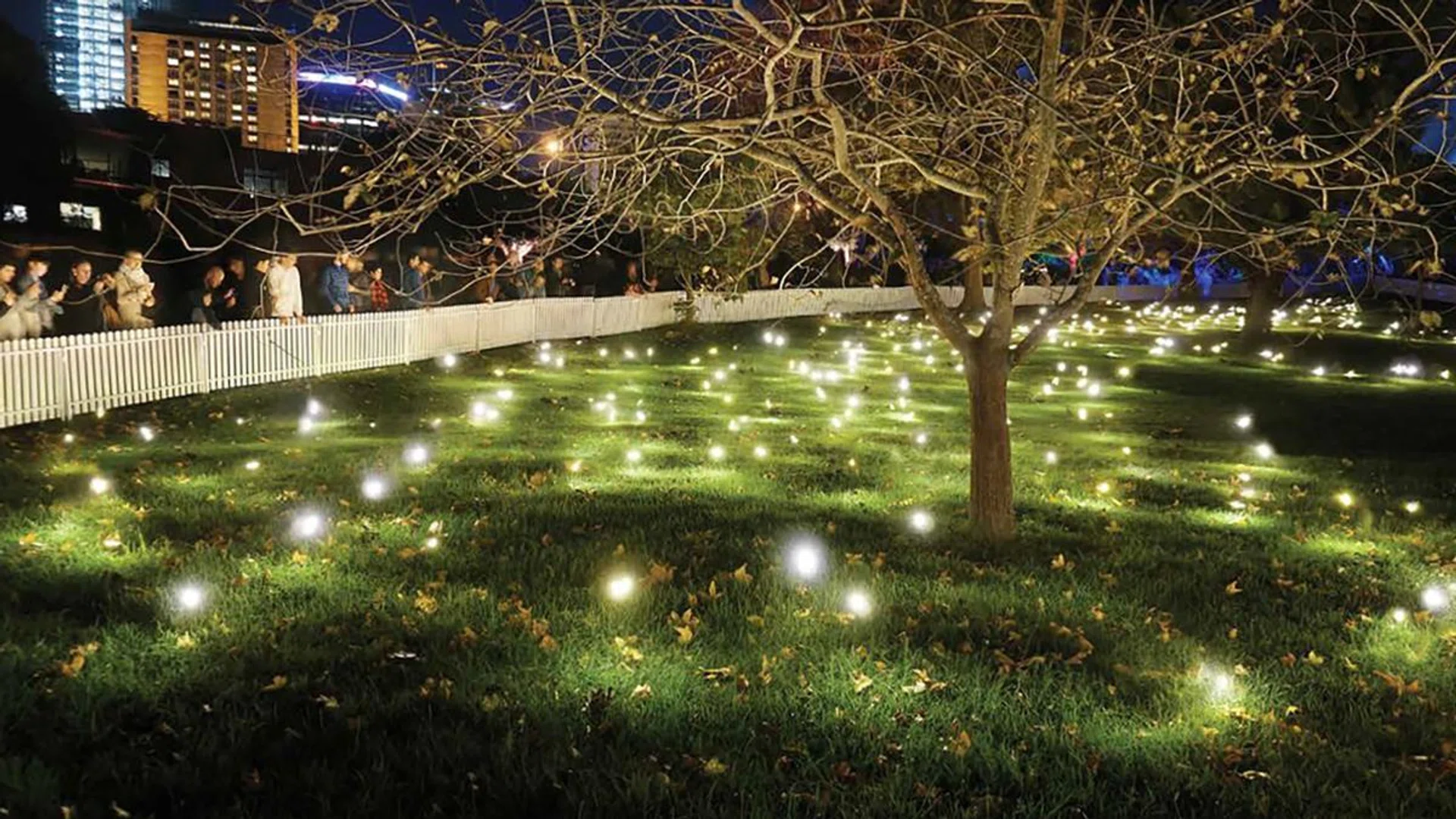 i light singapore 2022 things to do