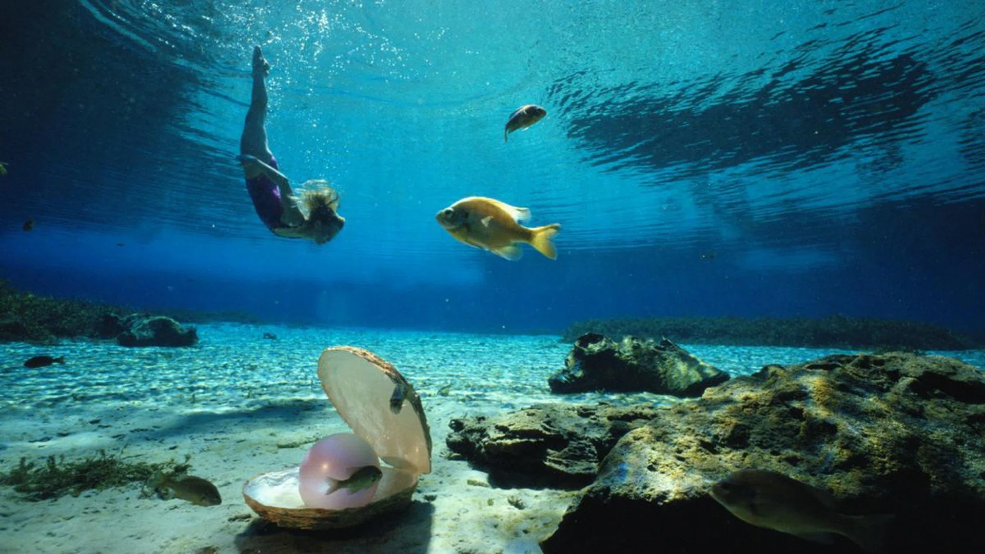 Pearl extracts are said to keep skin healthy and hydrated as it contains high levels of calcium. Credit: Getty Images