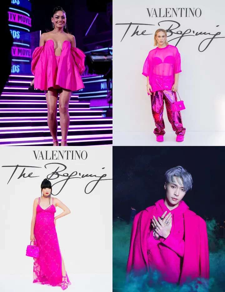 valentino pink pp douglas coupland