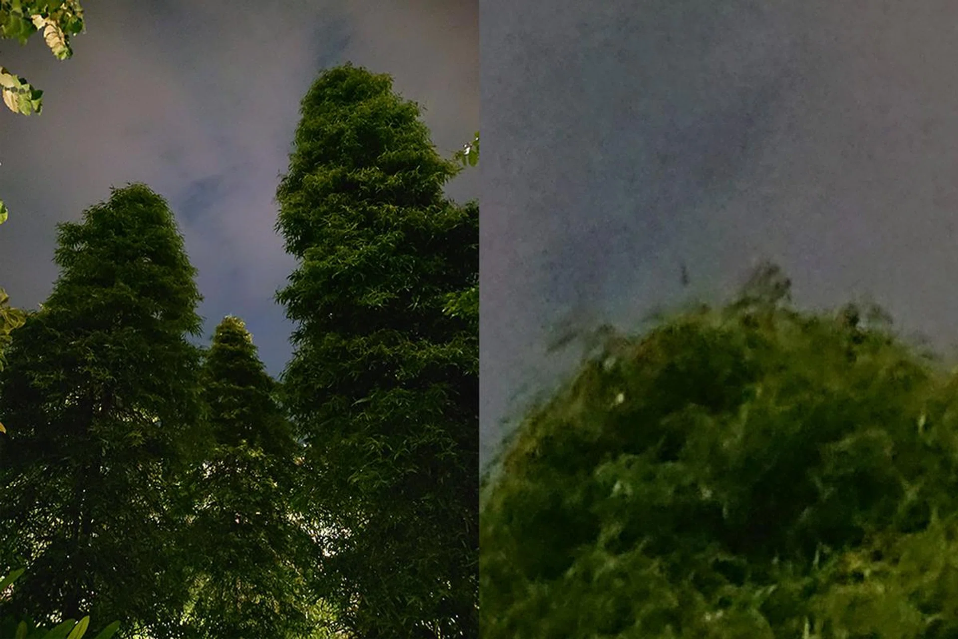 This UHS shot at ISO 8,000 is surprisingly clean. Yes, details are muddier (100% crop, right), but that’s par for the course when shooting at high ISOs. It’s an impressive performance when you consider that this is ISO 8,000 from a smartphone.