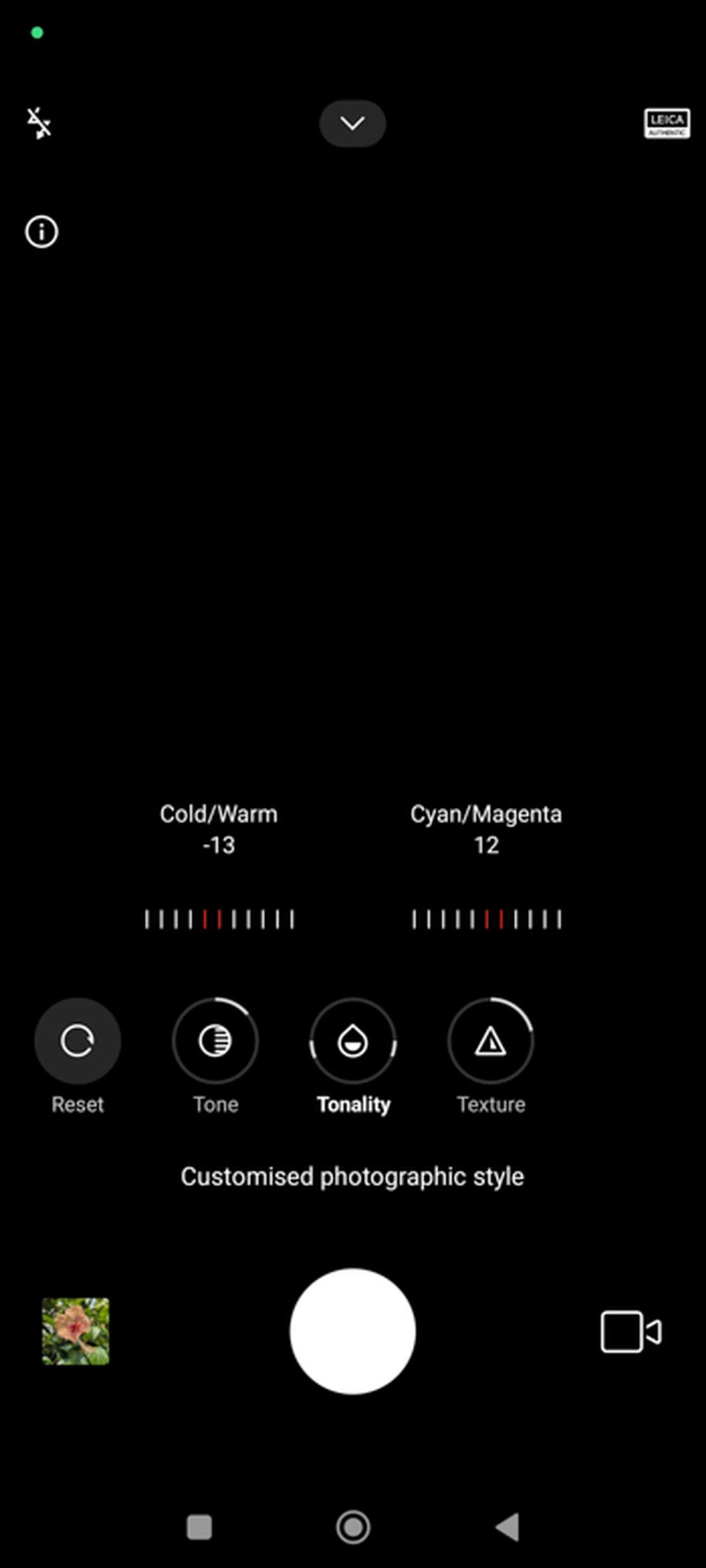 Custom Photographic Styles adjustments.