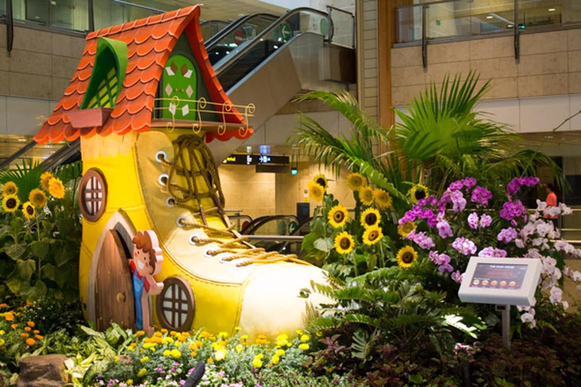 f/5.0 at 35mm, 1/60s, ISO 2000