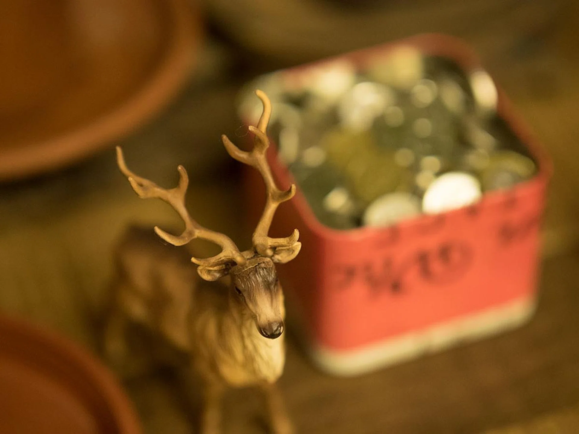 The edges of blur are supposed to blend together more harmoniously at f1/.2, an effect Olympus calls ‘feathered bokeh.’ f/1.2 at 45mm, 1/30 sec, ISO 1600.