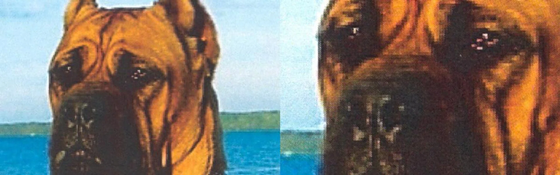 Close-up scan of its colour image print capability.