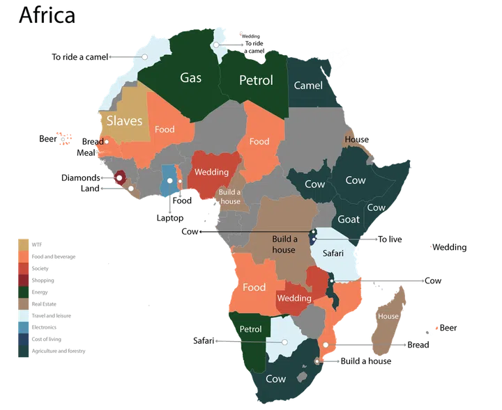 Camels and cows galore.
