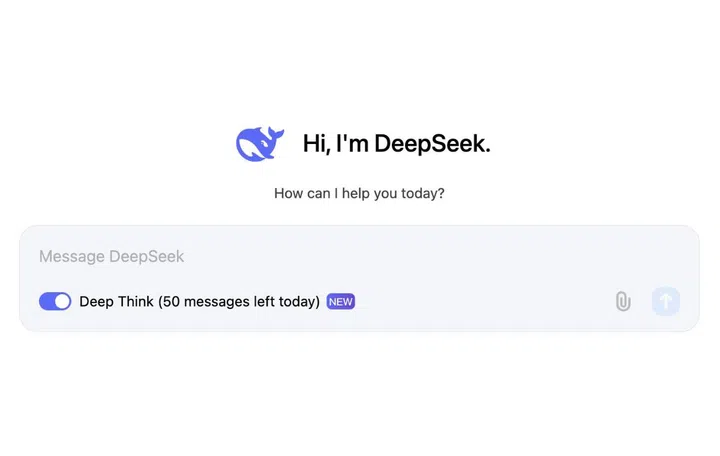 Photo: DeepSeek.