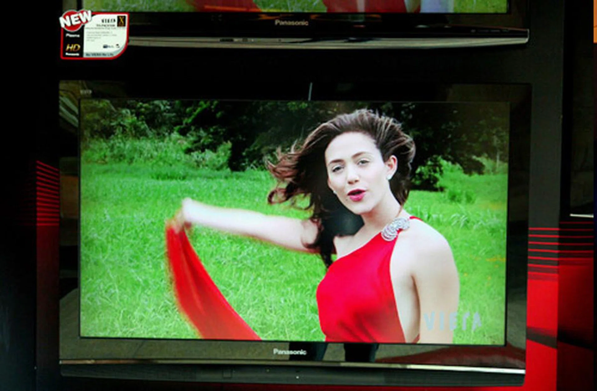 A 42-inch X-series (TH-P42X10) PDP television. The X-series would flaunt Panasonic's 100Hz Motion Picture Pro technology with three HDMI ports in all. 
