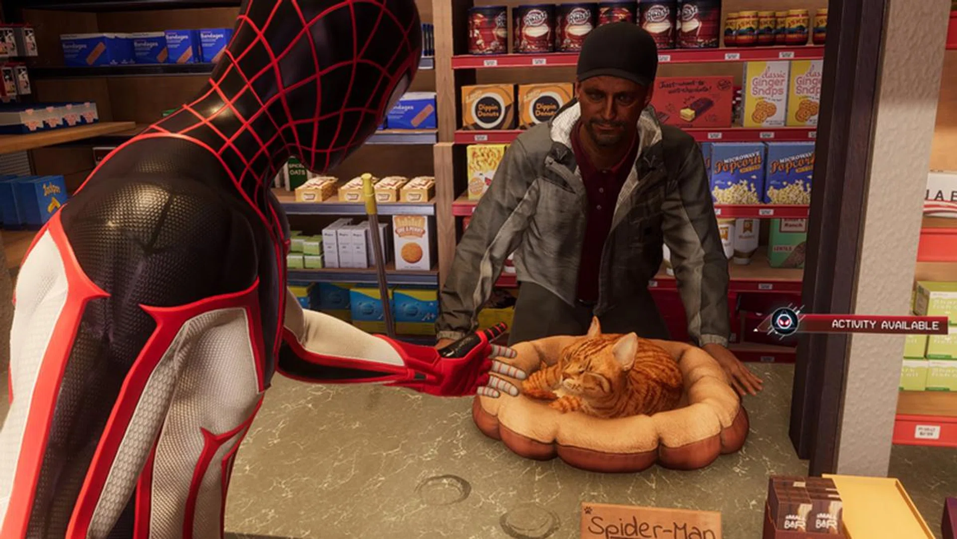 Spider-Man, meet Spider-Cat. 