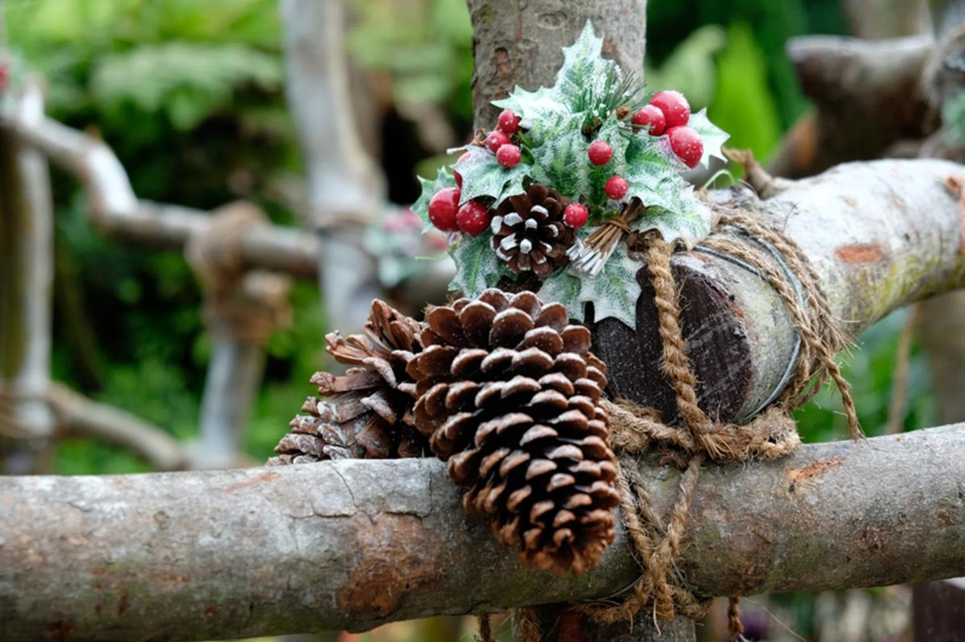 f/4 at 50.5mm, 1/80 sec, ISO 200.