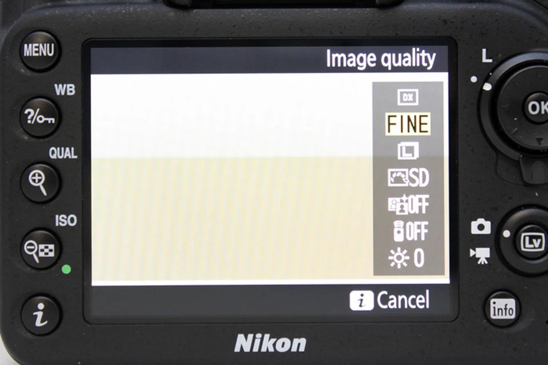 The menu options in Live View are disappointingly sparse.