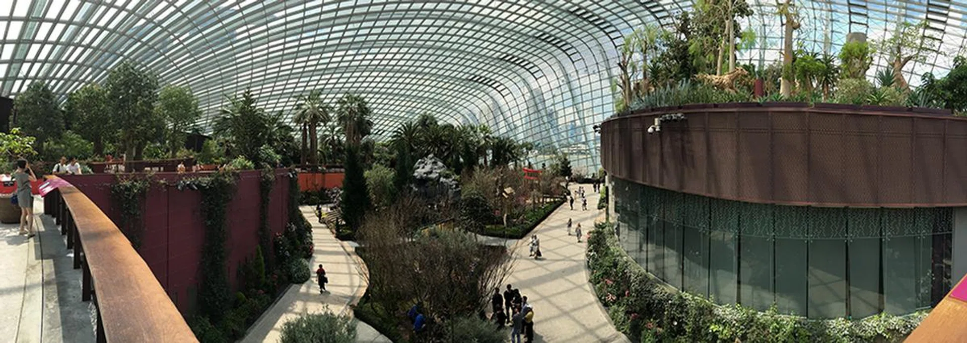 Panorama. Apple iPhone 6s Plus.