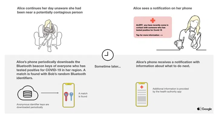 How the contact tracing API envisions to help health officials to track the spread of Covid-19, as told through the story of Alice and Bob (part 2). Source: Apple.