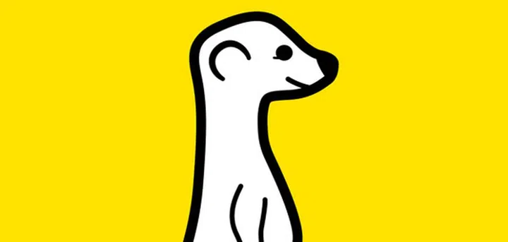 Image Source: Meerkat