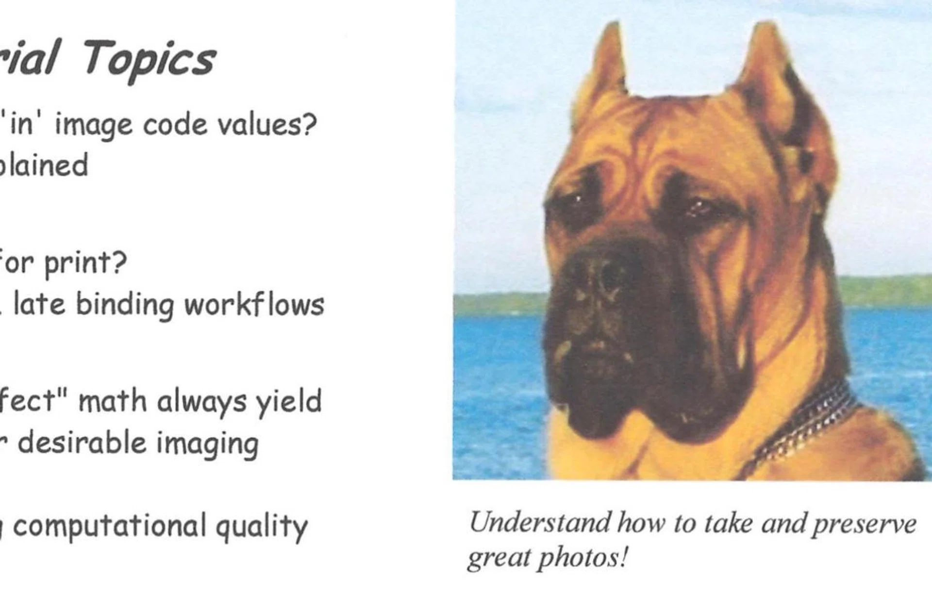 Close-up scan of its colour image print capability.