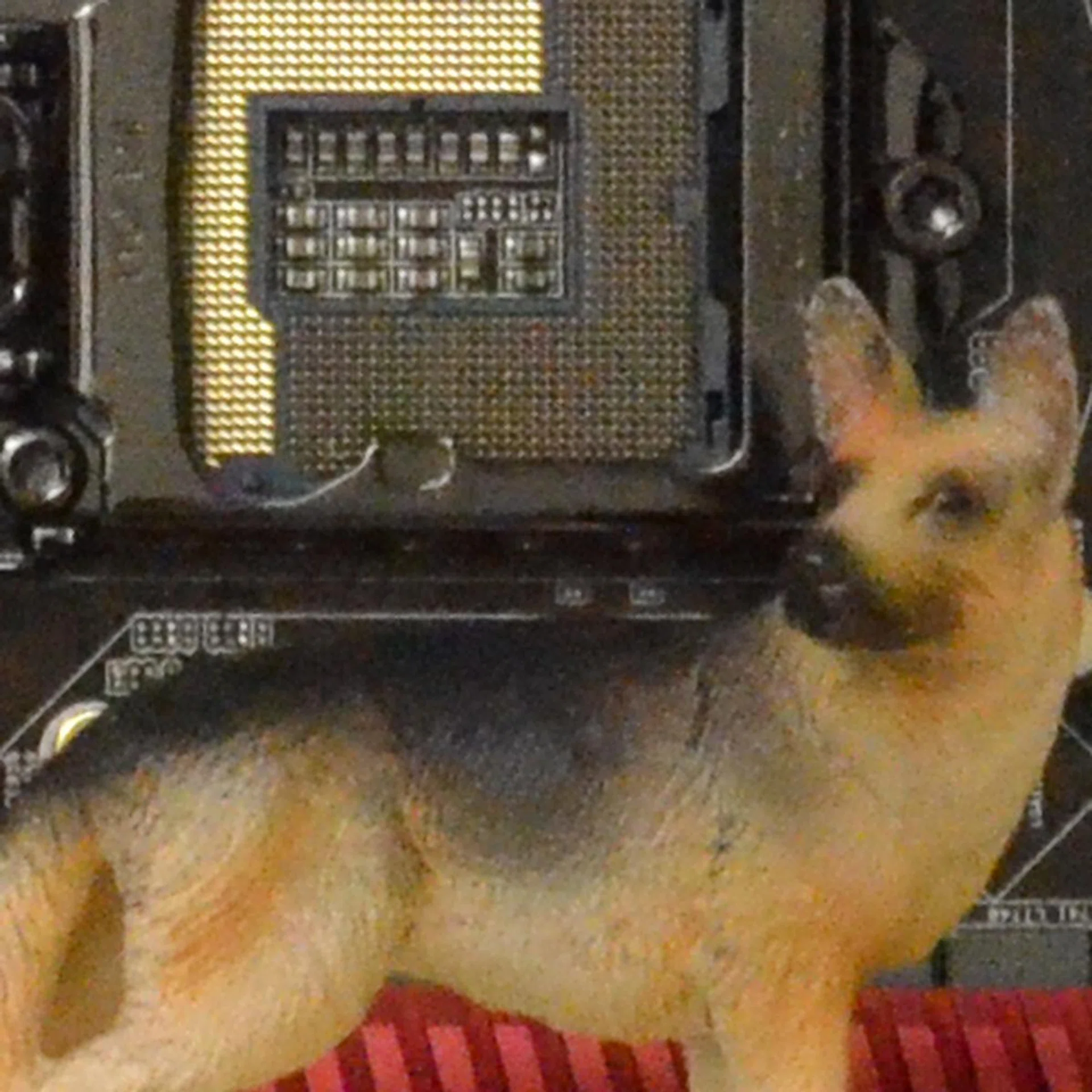 ISO6400. 100% crop of our test scene, click for the full resolution image.