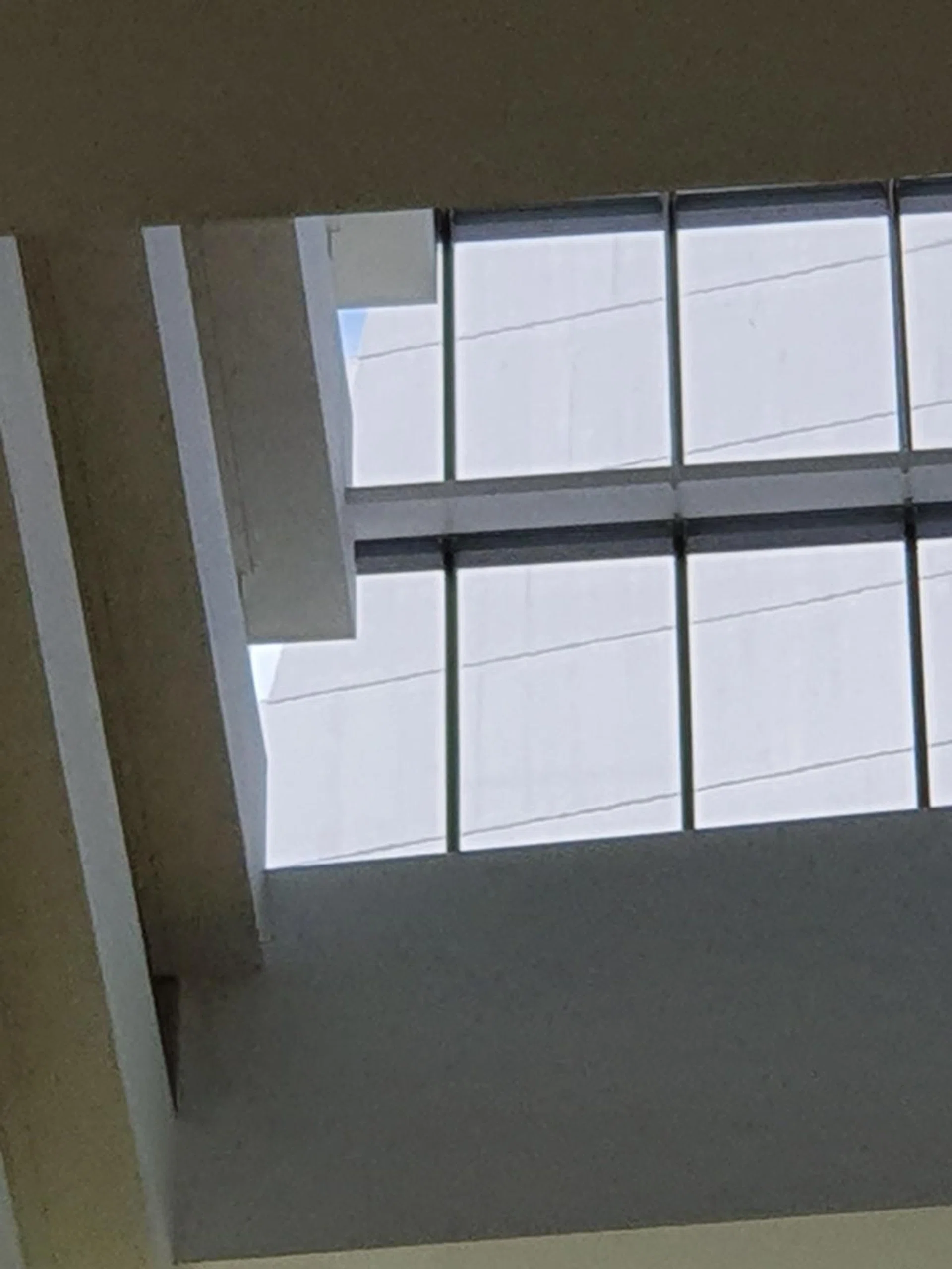 6mm at f/2.4, 1/350s, ISO 50 (Galaxy S10+)