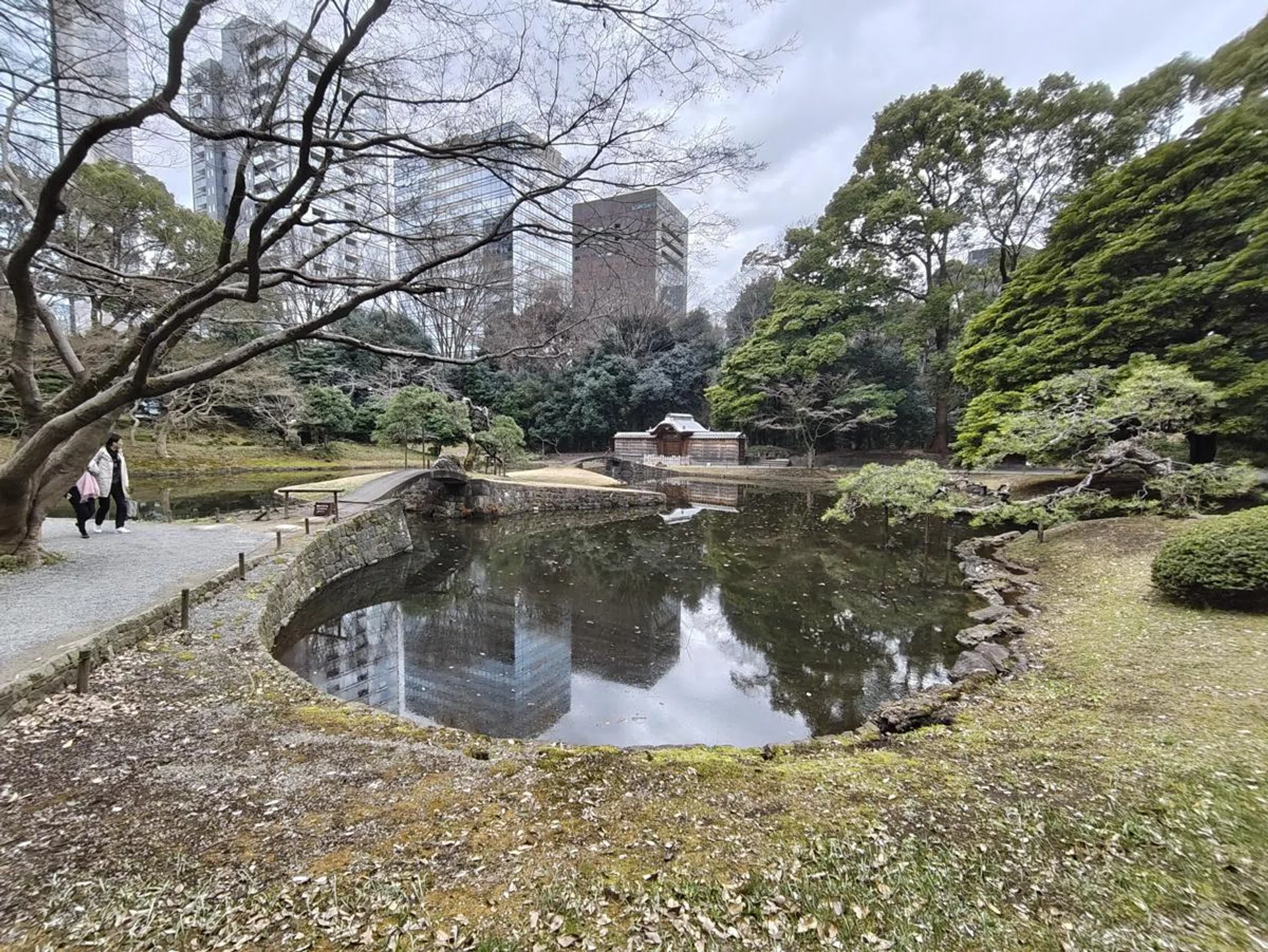 Nothing Phone (3a) Pro ultrawide. Photo: HWZ.