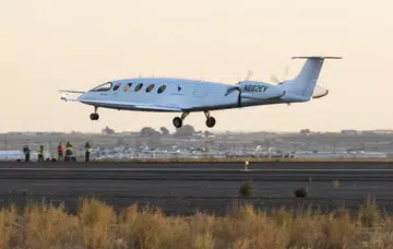 Alice taking flight. (Image source: The Seattle Times)