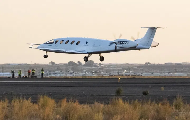 Alice taking flight. (Image source: The Seattle Times)