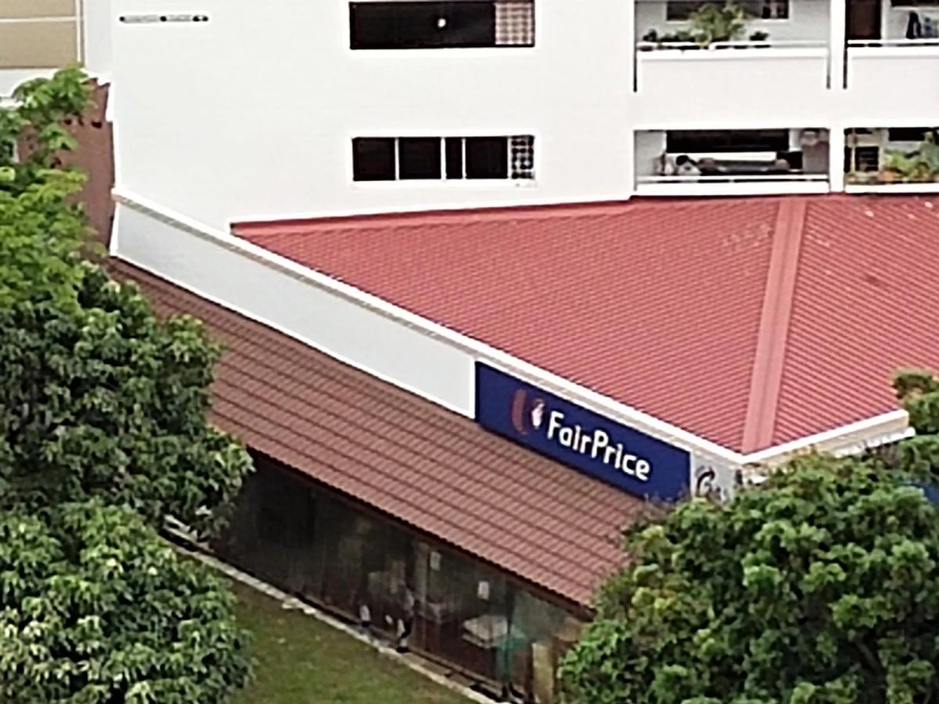 10x zoom (maximum digital zoom) on main camera from the same position. Tiles retain its details despite the ramped-up noise and artefacts seen typical digital zoom shots. Finer details, like the items along the corridors and telling apart each leaf, are naturally lost on the V19's max zoom option.