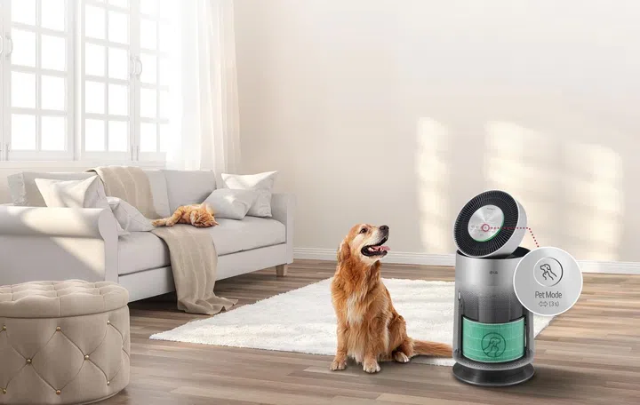 This model is more efficient at removing pet fur and dander. Image source: LG. 