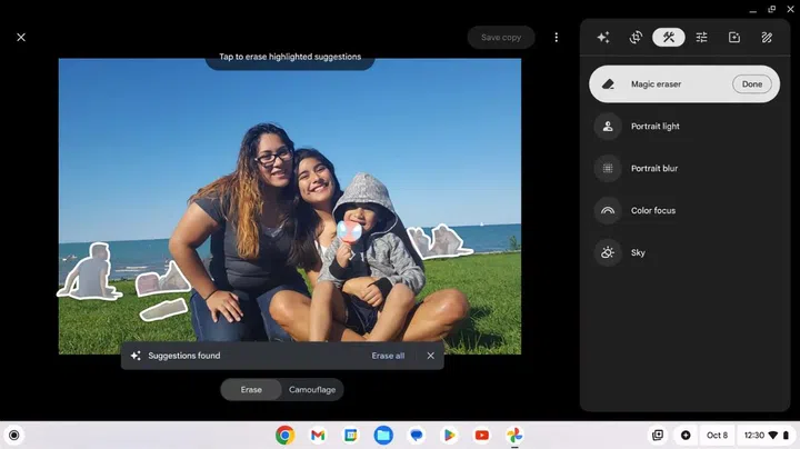 Erase parts of a picture you don't want. Image source: Google. 