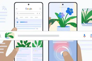 Photo: Google.