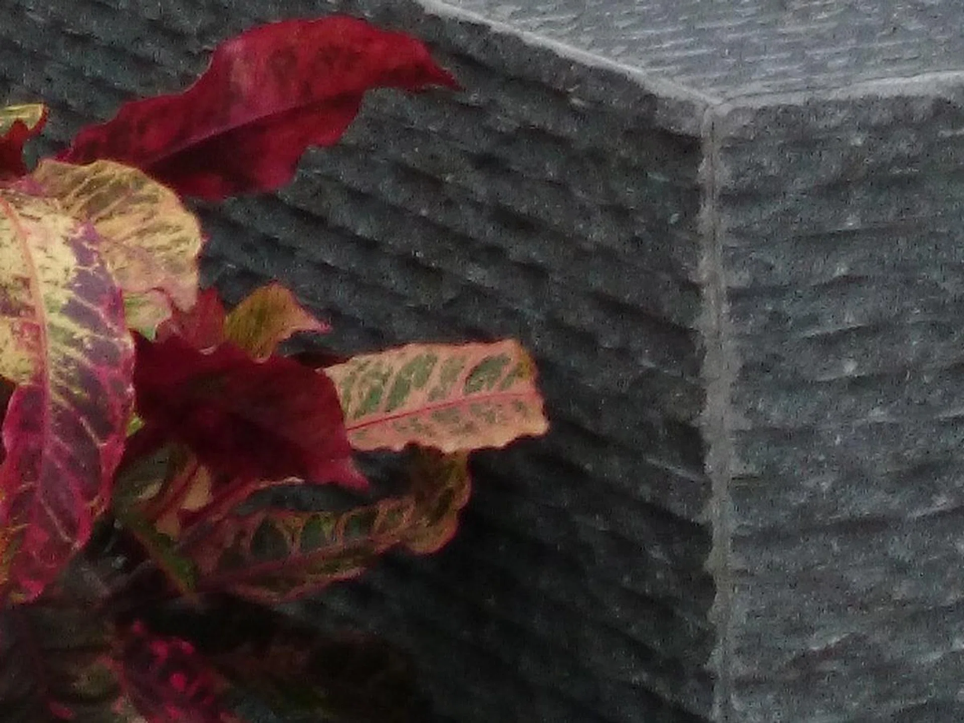 Sony Z1, 20MP, 100% crop.