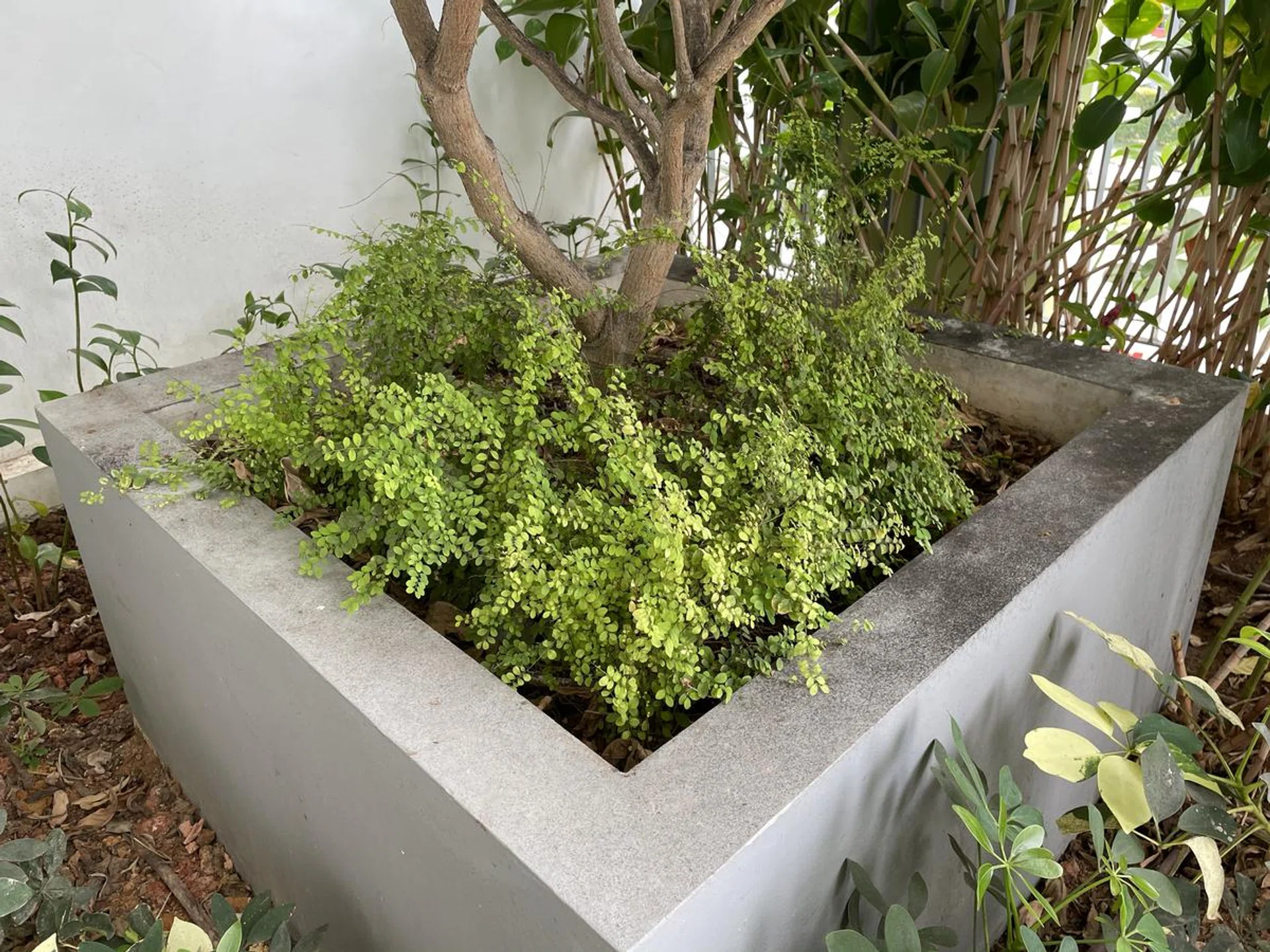 Image 2B. Click to see full image.