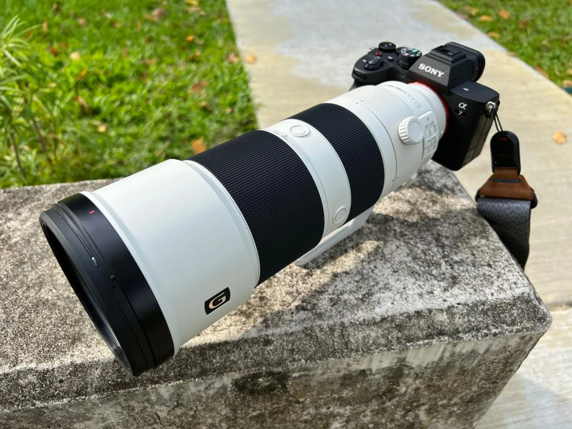 The Sony FE 200-600mm f/5.6-6.3 G OSS telephoto zoom len is a great companion to A7 IV for wildlife photography.