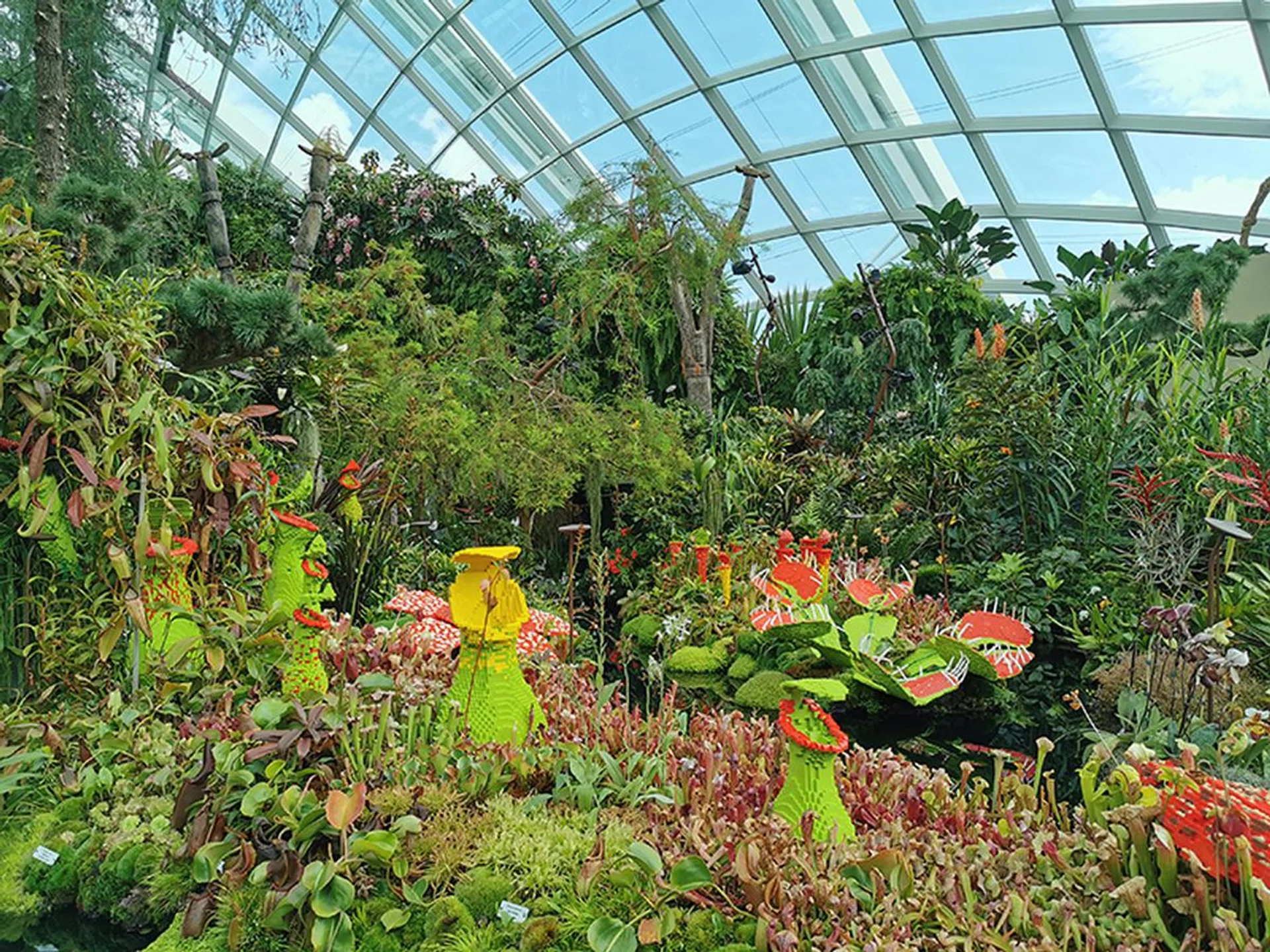 P30 Pro. (Click to view full-size image)