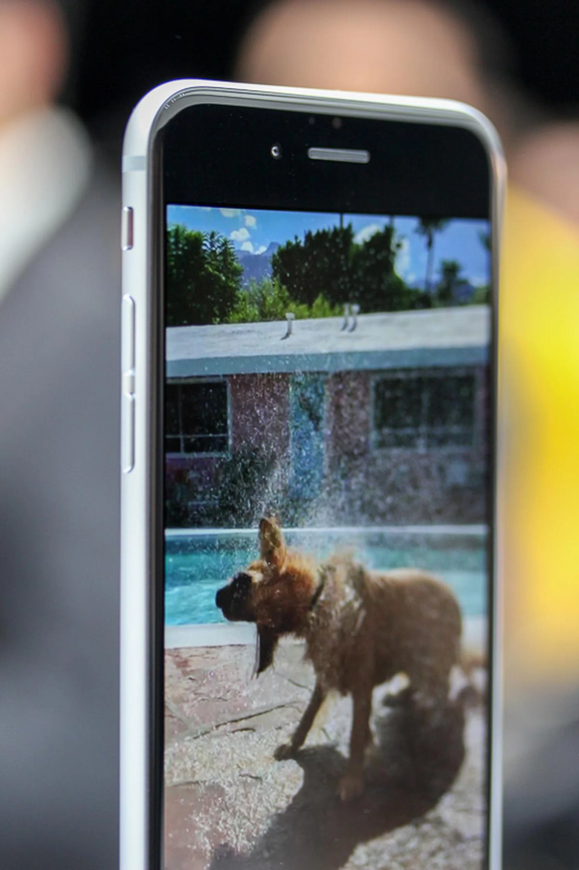 The iPhone 6's curves make it look and feel more organic.