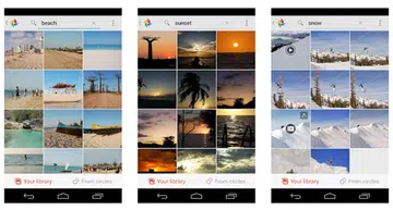 Google+ can recognize over a thousand objects in images, so you can now type to search your pictures. Image source: Google.