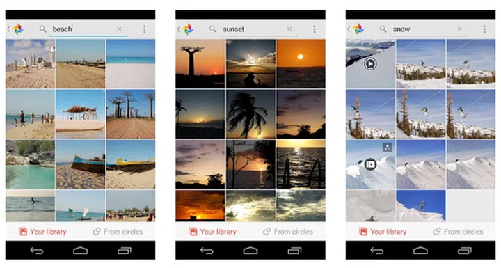 Google+ can recognize over a thousand objects in images, so you can now type to search your pictures. Image source: Google.