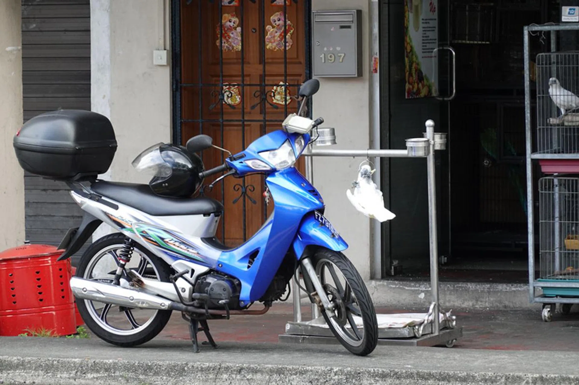 200mm at f/4.5, 1/200s, ISO640